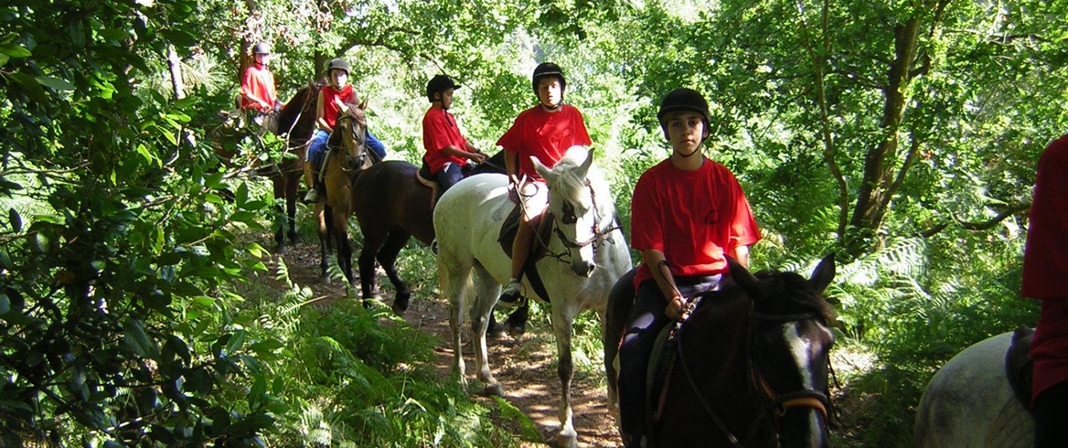 ROI CAMPAMENTOS 4
